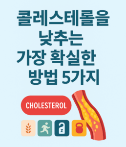 콜레스테롤을 낮추는 가장 확실한 방법 5가지를 안내하는 인포그래픽, 혈관 단면과 콜레스테롤 감소 아이콘이 함께 있는 건강 관리 이미지